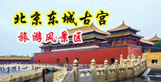色图逼逼中国北京-东城古宫旅游风景区